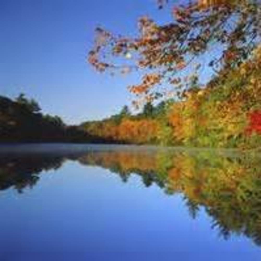 Meet your Posher, Liza